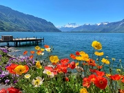 21st May 2019 - View from Montreux. 
