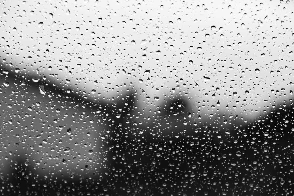 Rainy Window by tina_mac
