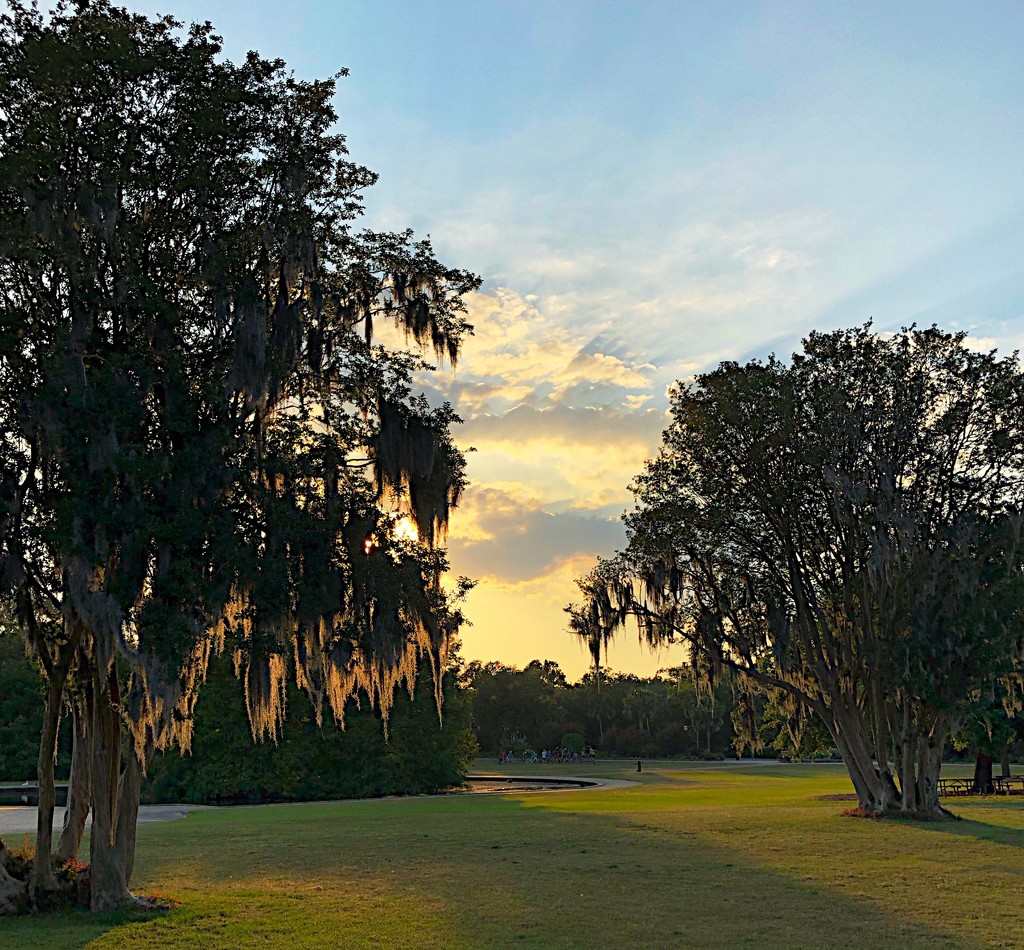 Sunset at Hampton Park, Charleston by congaree