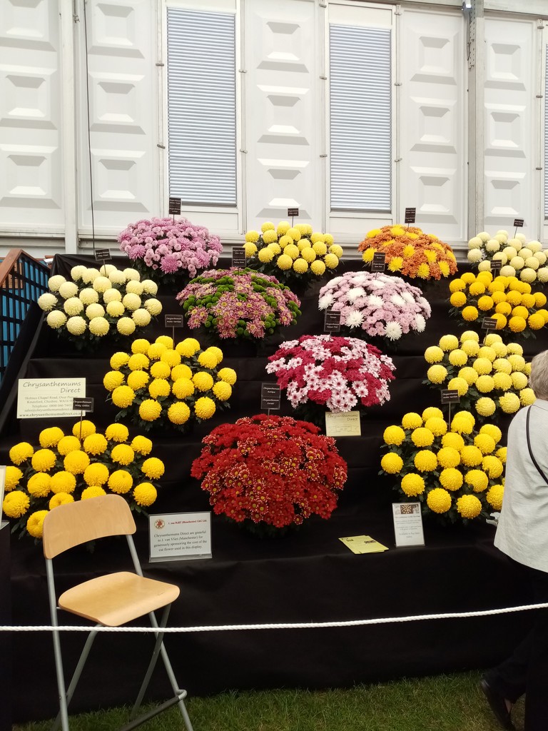 More From The Chelsea Flower Show  by g3xbm