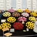 More From The Chelsea Flower Show  by g3xbm