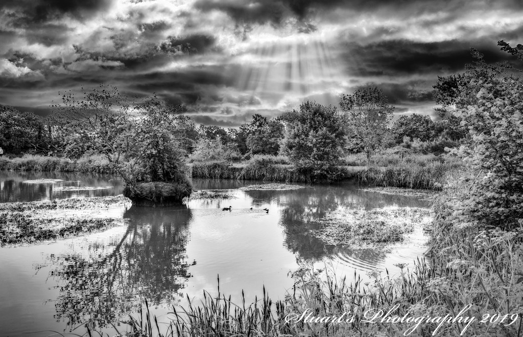 Sunrays over the lake  by stuart46
