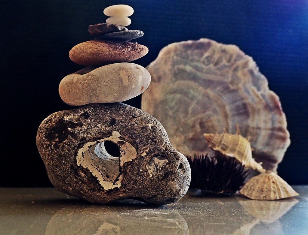 Stones and shells by jacqbb