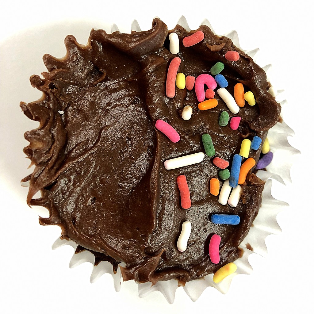 Cupcake: half sprinkles! by homeschoolmom