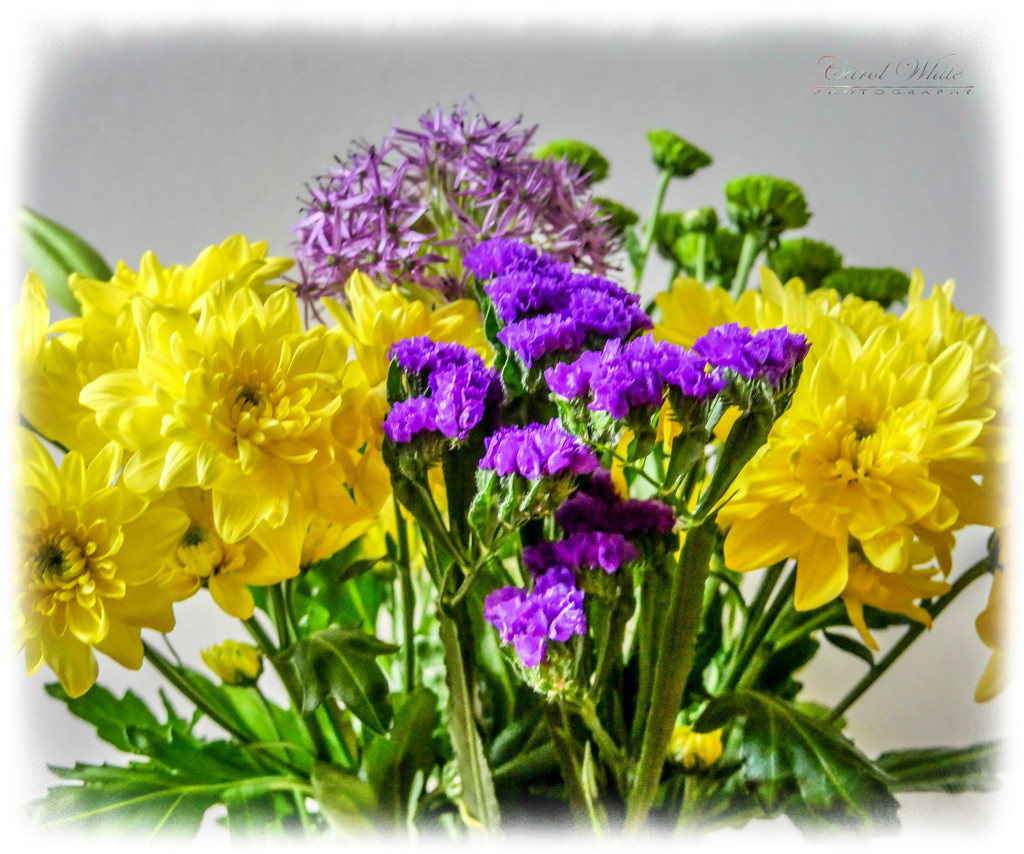Summer Bouquet by carolmw