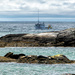 Seals and fishermen by novab