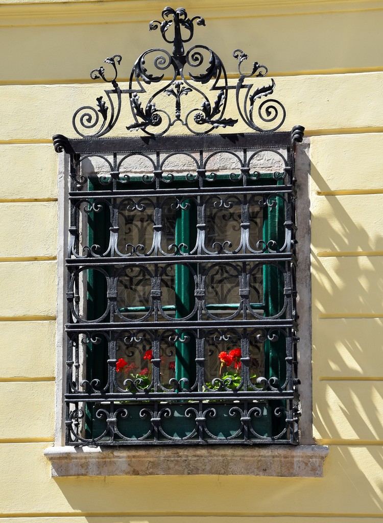 ornate grid on the window by kork
