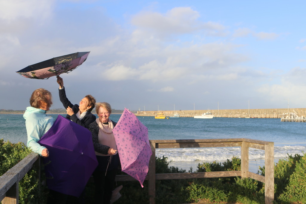 Brolly girls and the wind by gilbertwood