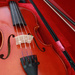 Violin by ingrid01