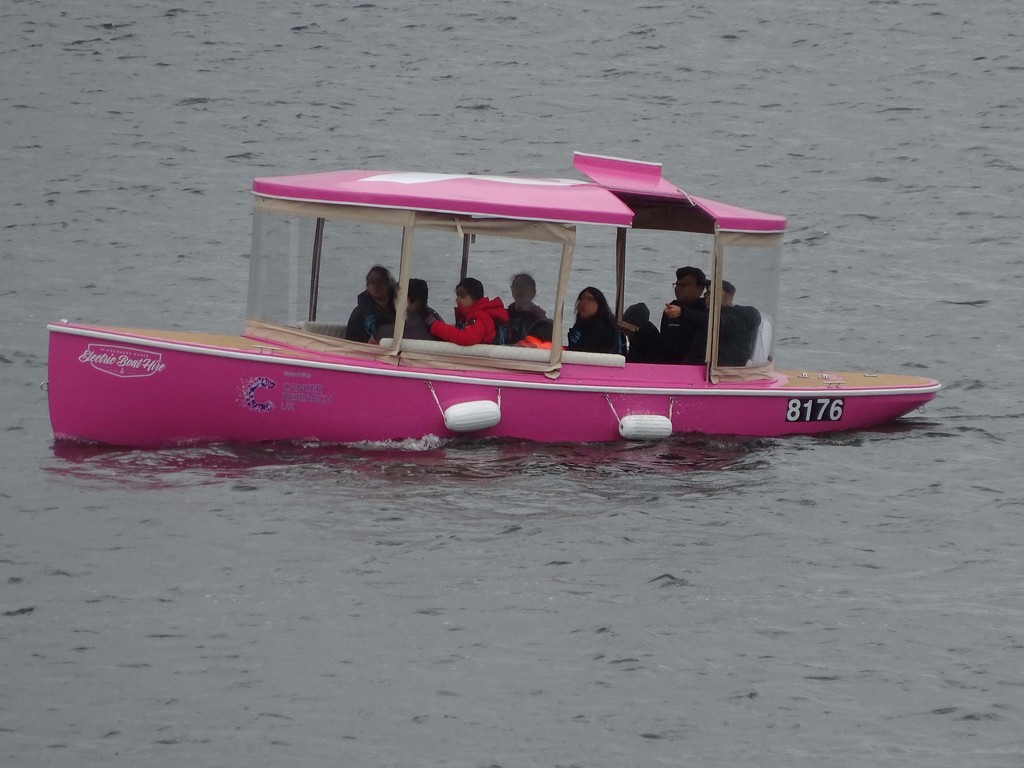 pink boat by anniesue