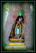 6th May 2019 - Tree Shrine In Mexico