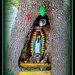 Tree Shrine In Mexico by vernabeth