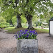 24th May 2019 - Walled garden at Fyvie looking lovely 