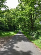 28th May 2019 - A Country Lane