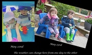 26th May 2019 - What a difference a day makes