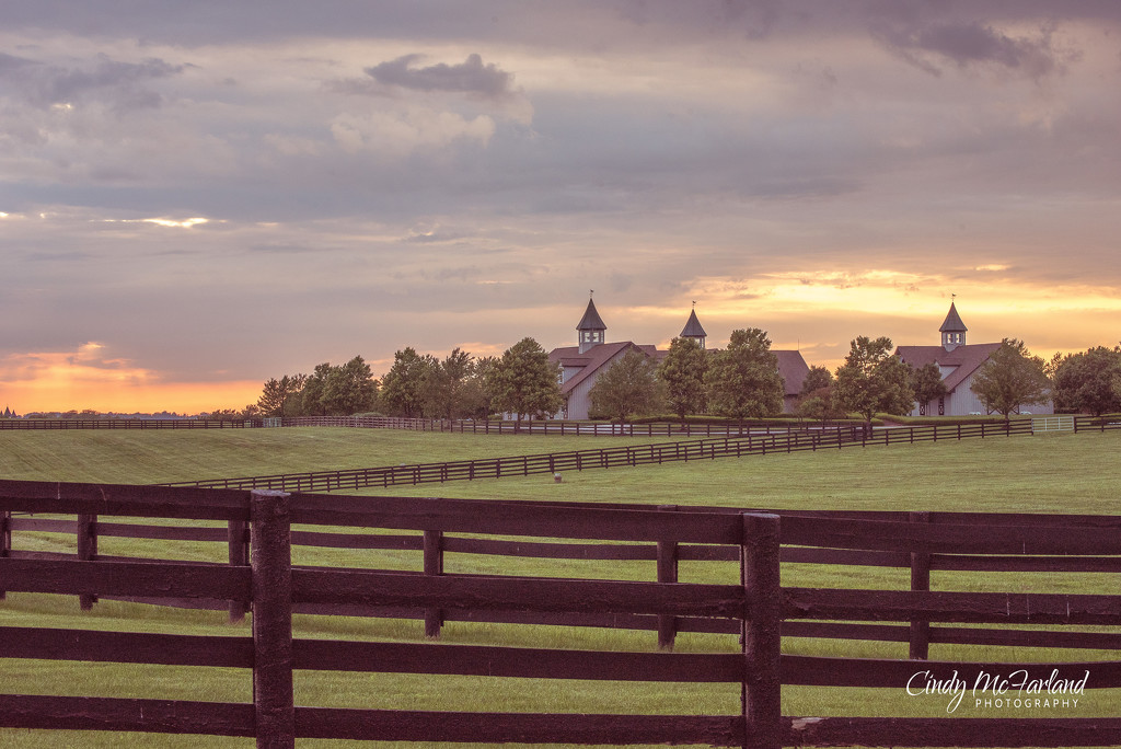 Sunset over a Kentucky Horse Farm by cindymc
