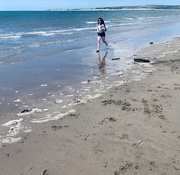 29th May 2019 - Half and half sea and sand