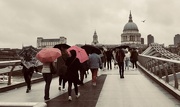 12th May 2019 - Wet, windy London