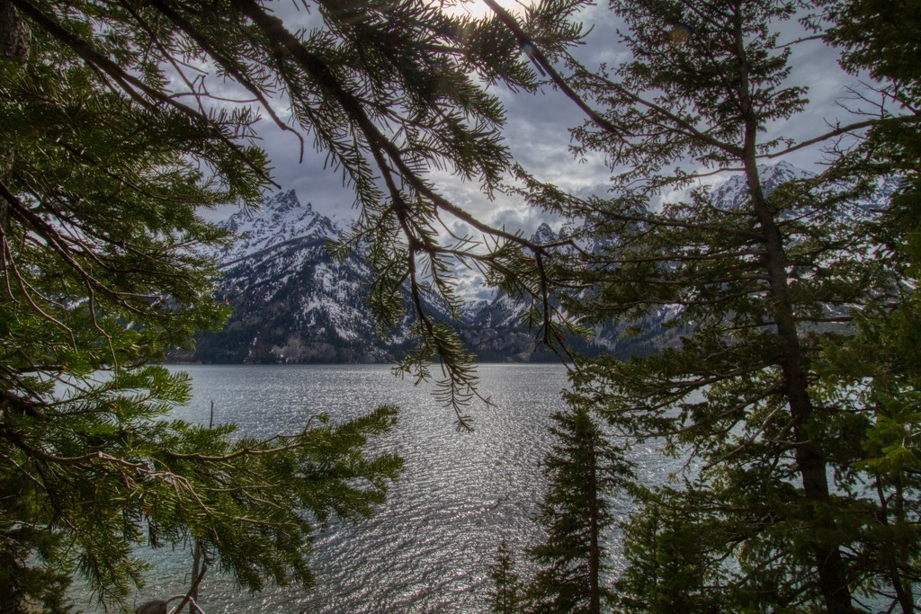 Jenny Lake @ Grand Teton National Park by kvphoto
