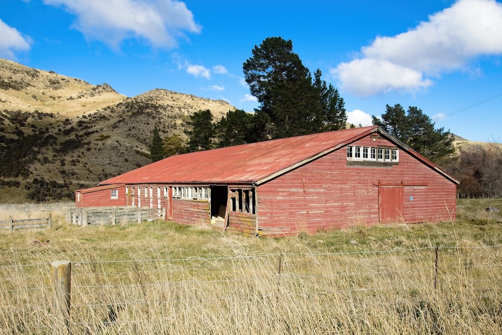 Red woolshed by kiwinanna