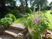 31st May 2019 - A view up the steps up to our garden.
