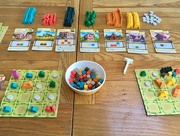 23rd May 2019 - Tiny Towns Boardgame