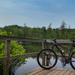 Riding at the state park by batfish
