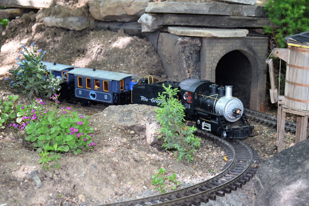 Rio Grande Model train by sandlily