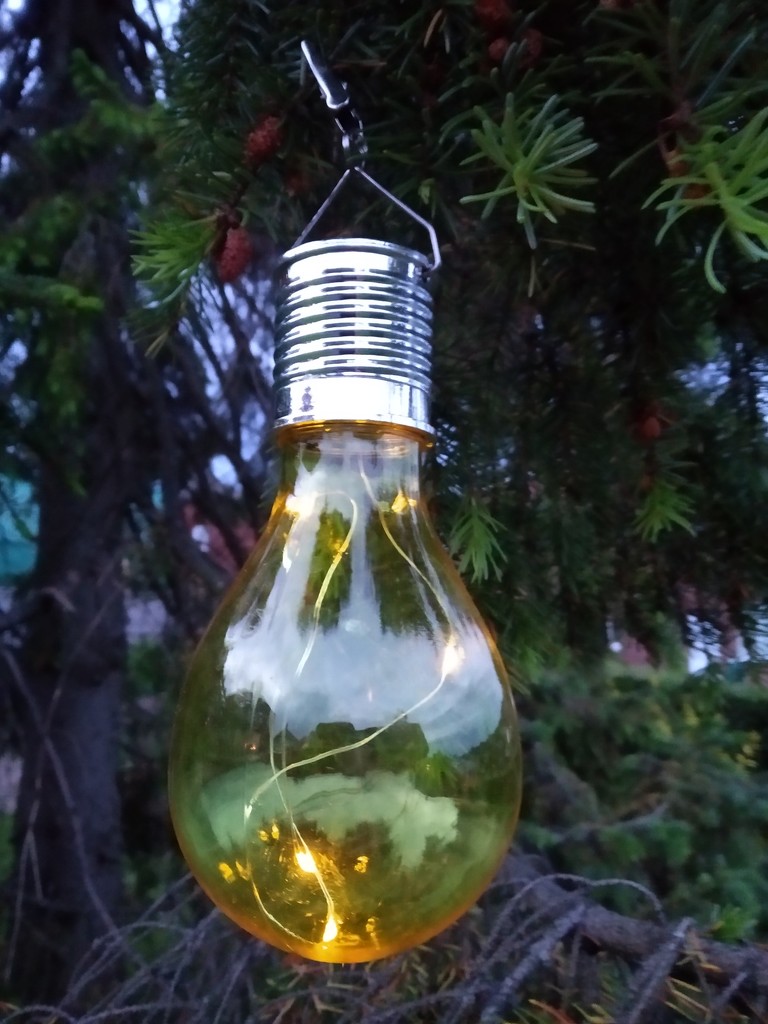 light bulb moment by brennieb