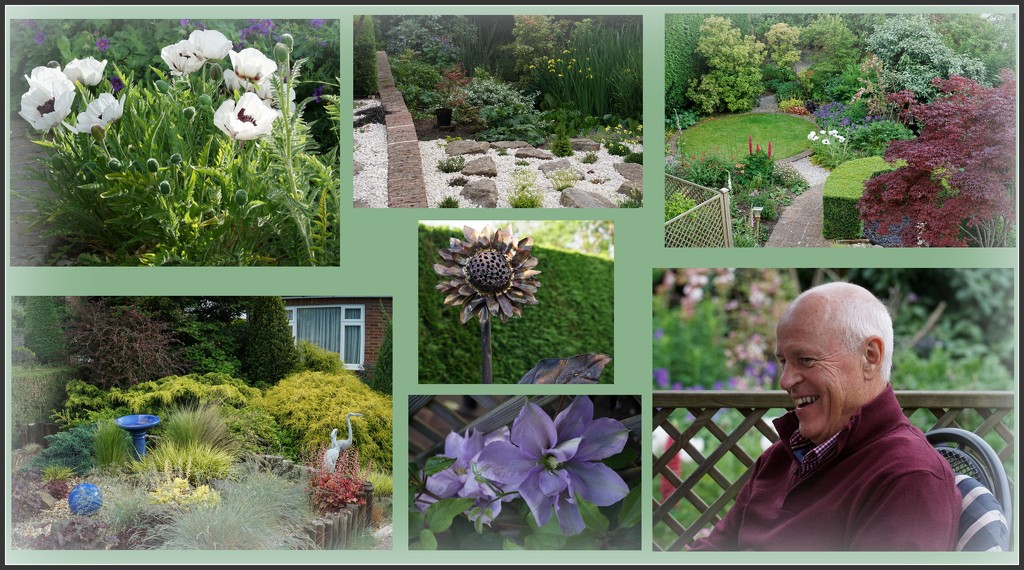 a collage to round off my garden posts by quietpurplehaze
