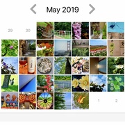 1st Jun 2019 - My Half and Half photos for May 2019