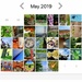 My Half and Half photos for May 2019 by louannwarren