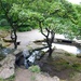 Rock Garden, Clifton Park, Rotherham by fishers