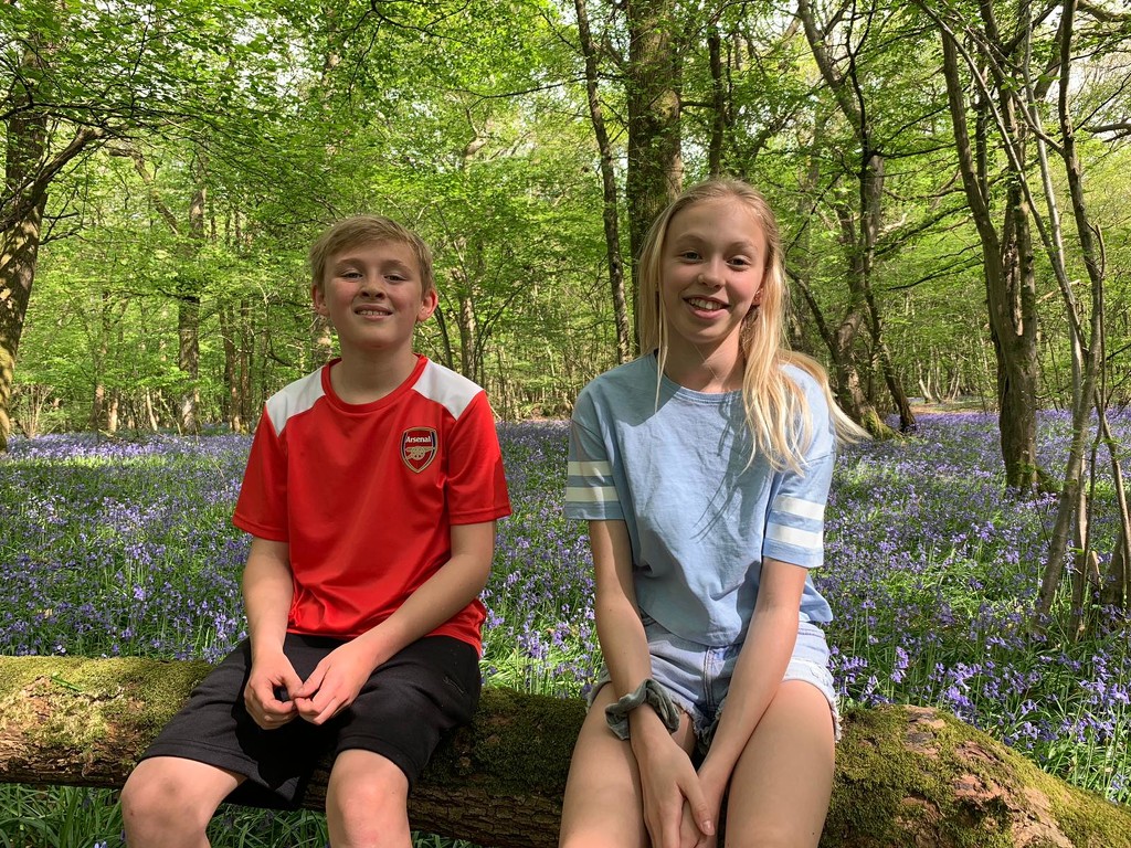 Emily and Oscar among the Bluebells by susiemc
