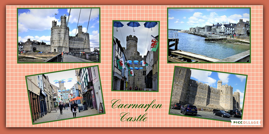 Caernarfon Castle by beryl