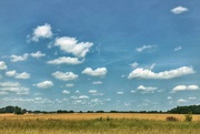 2nd Jun 2019 - Wide Open Spaces
