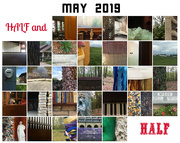 31st May 2019 - May 2019 half and half