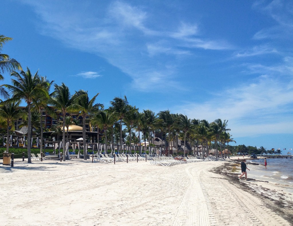 Cancun Beach by harbie