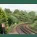 Railway track and trees. From Rishton Station. by grace55