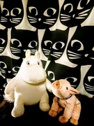 26th May 2019 - Moomin and Piggy and the cats