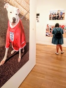 24th May 2019 - British dog by Martin Parr