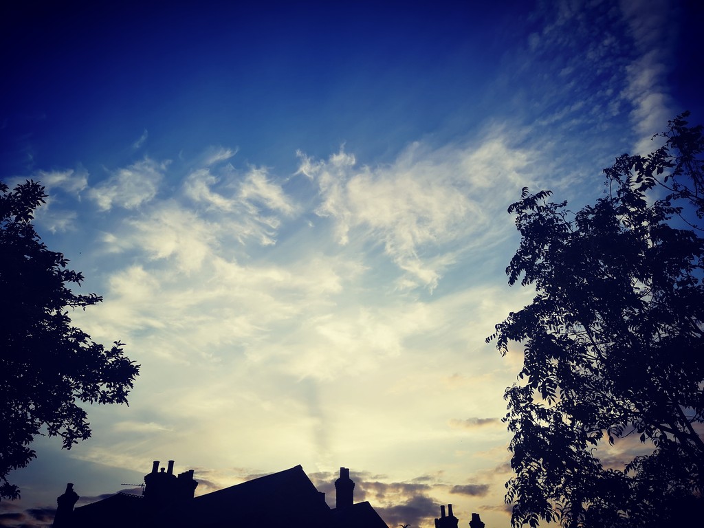 This evening's sky by plainjaneandnononsense
