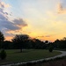 Walking path at sunset at Hampton Park by congaree