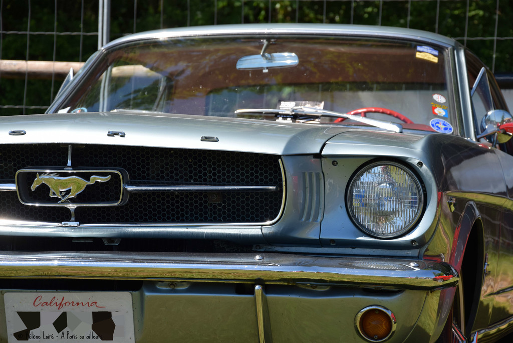Ford Mustang by parisouailleurs