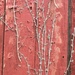 New growth on the old barn by essiesue