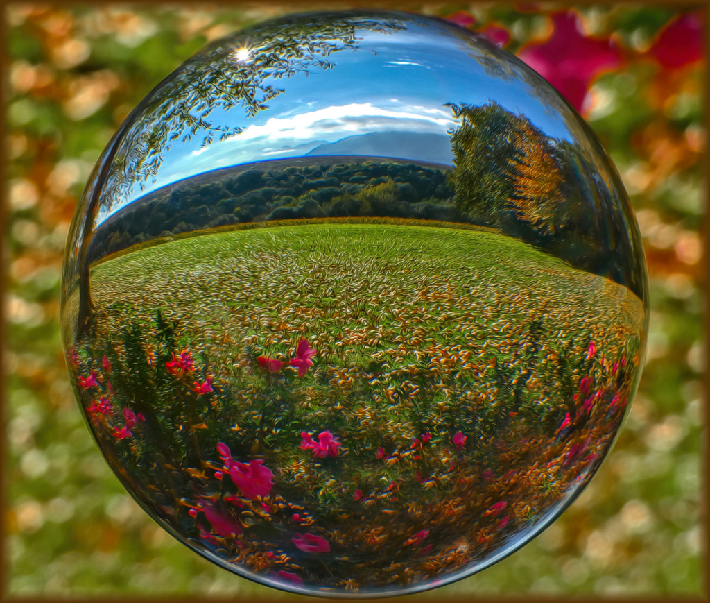 Autumn Leaves in a Lensball. by ludwigsdiana