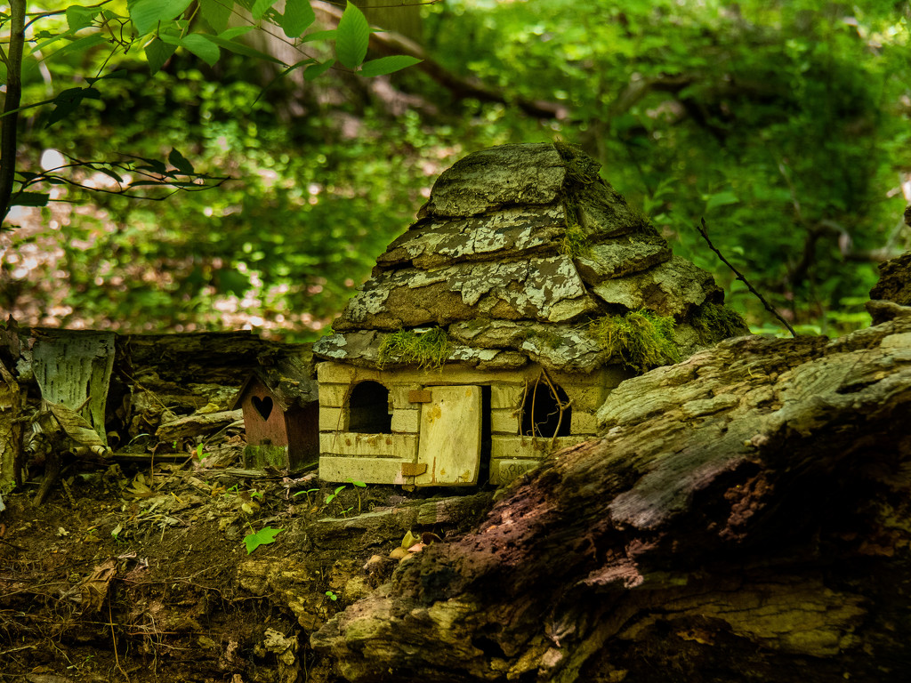 Little House in the BIg Woods by khrunner