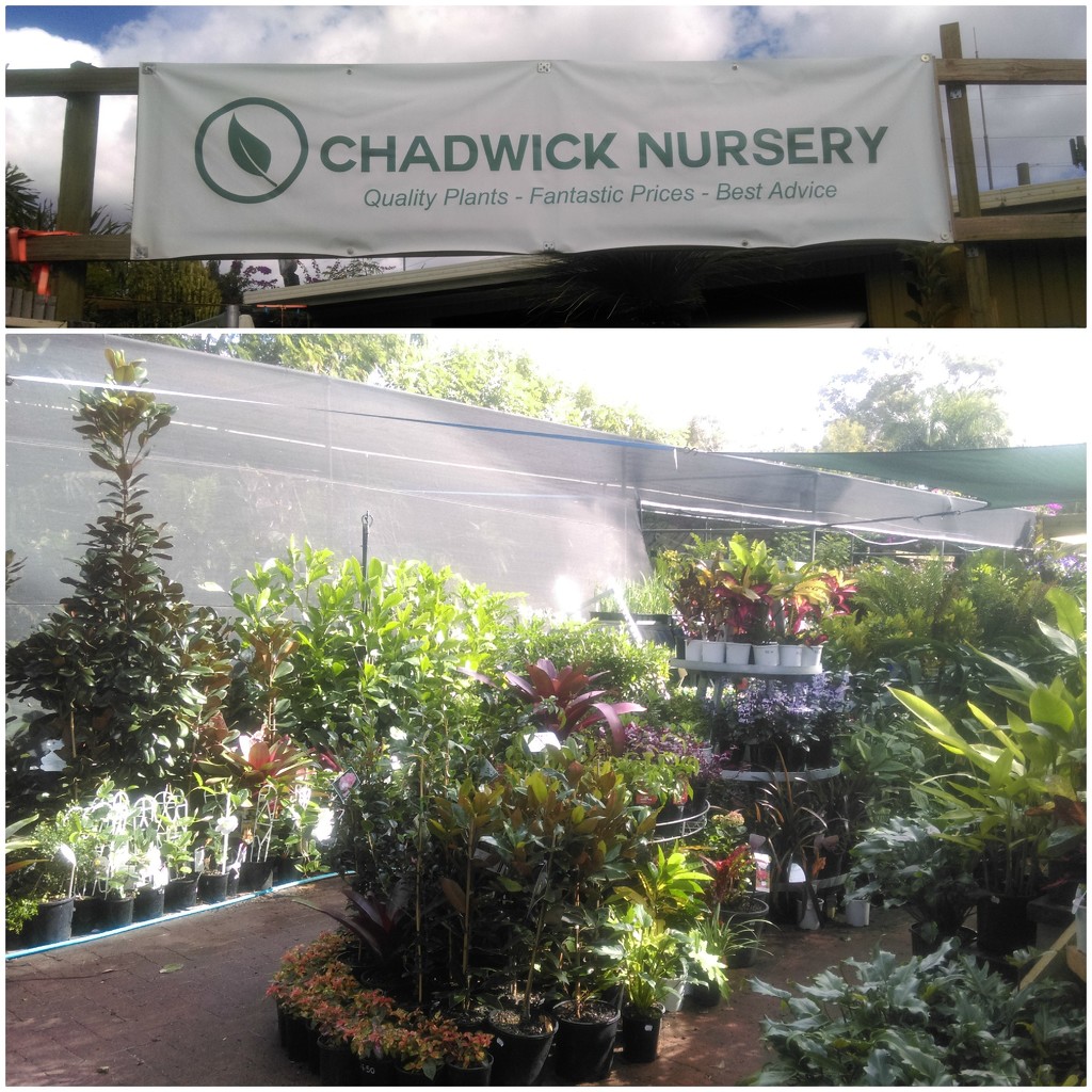 Chadwick Nursery by mozette