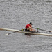 Total Stranger in a Single Scull by tdaug80