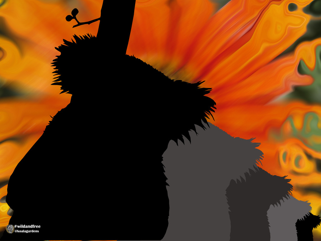 silhouette by koalagardens